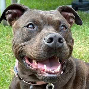 Meet your Posher, Joshua